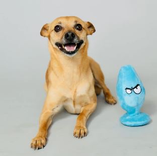 Scruffy Mutt Plug Mcruff Dog Toy