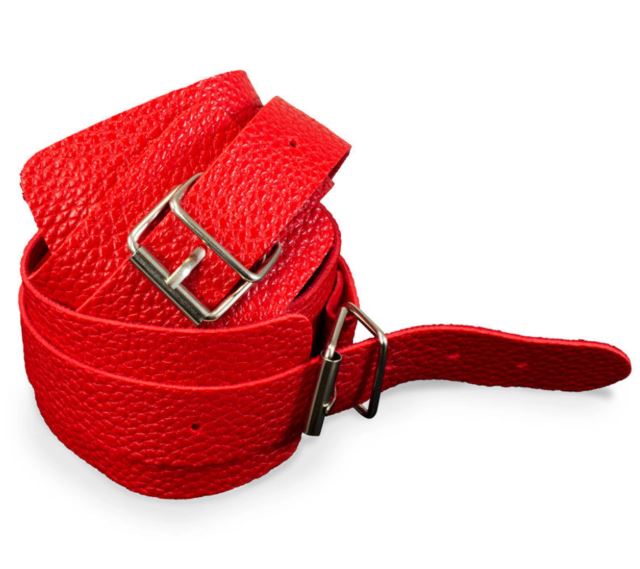 Kink Curious Hogtie Kit Red