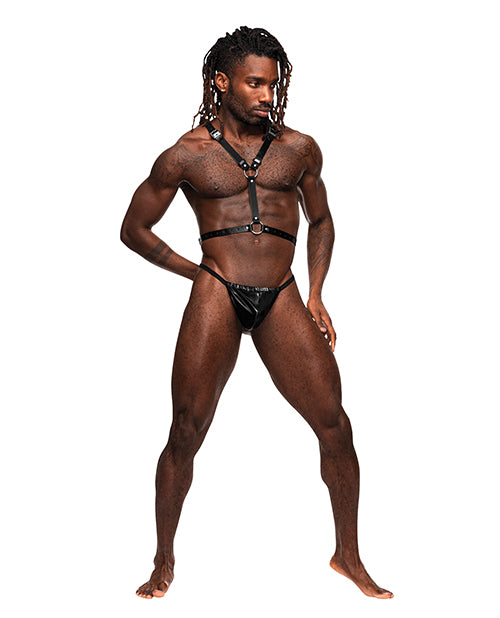 Sagittarius Leather Harness Black O/s