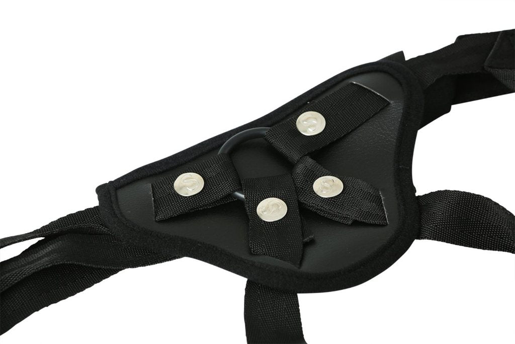 Ss Entry Level Harness