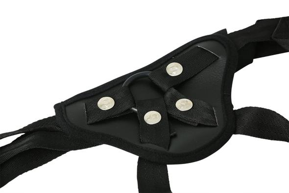 Ss Entry Level Harness