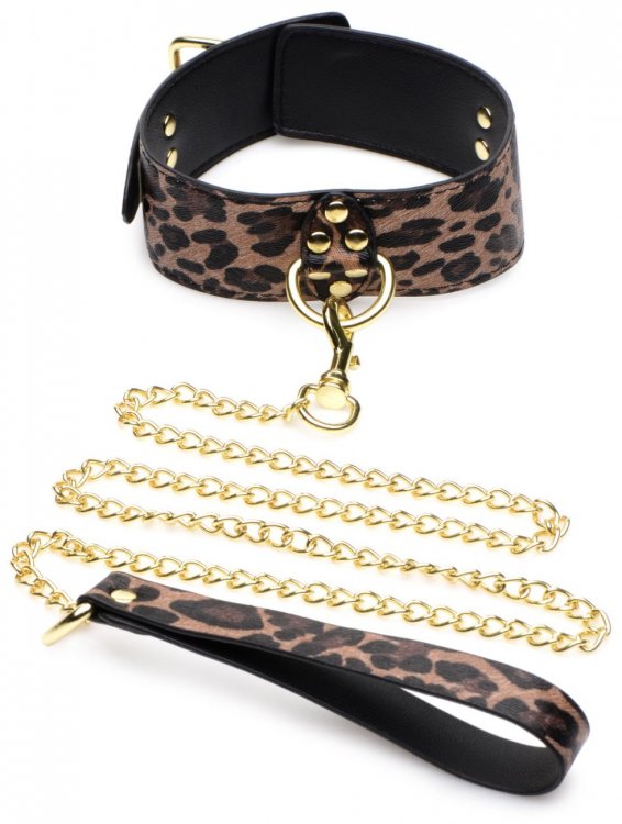 311854464.jpg