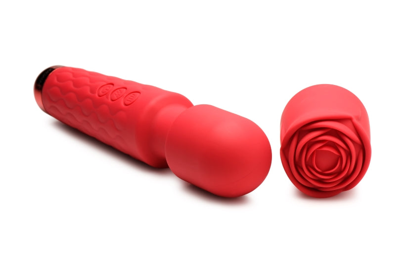 311864348.jpg