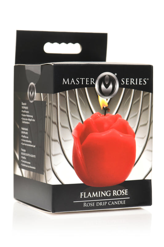 311864966.jpg