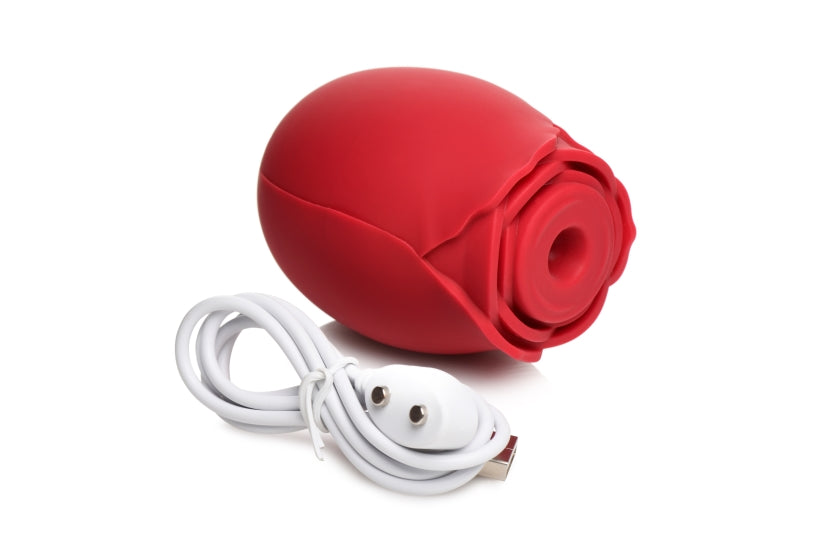 311866534.jpg