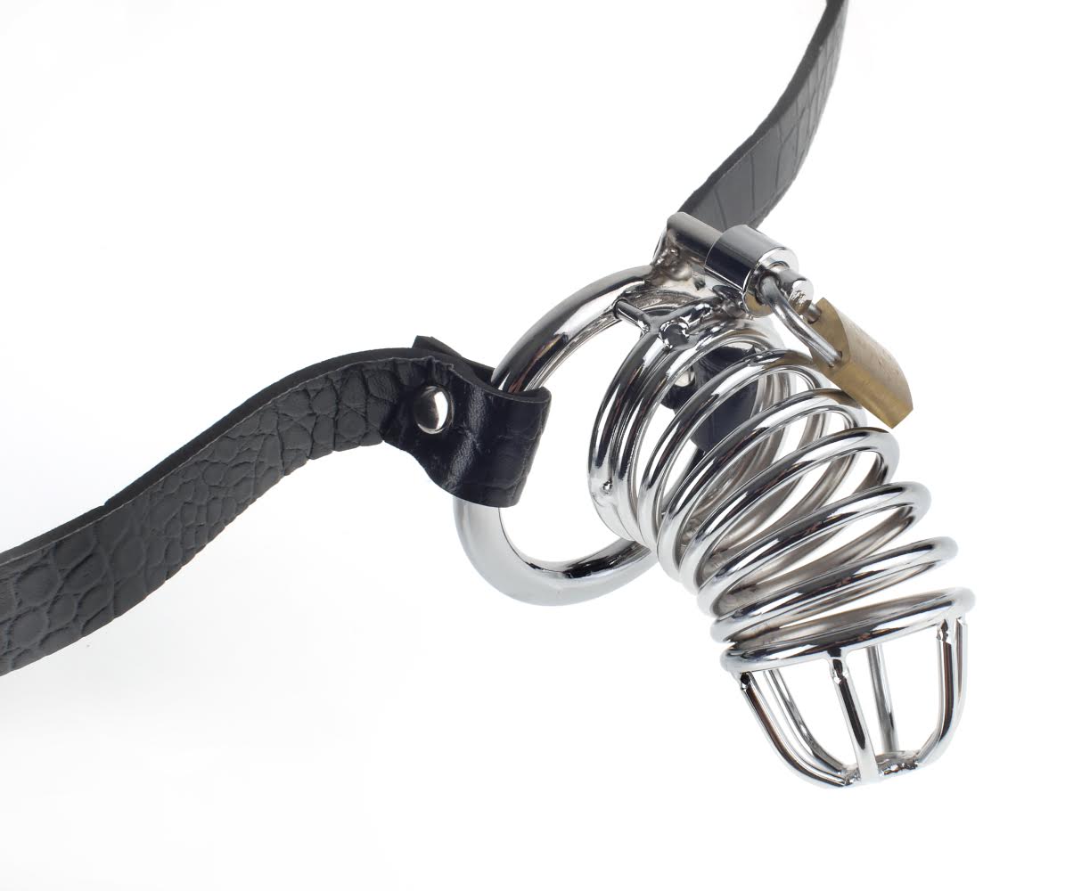 311867549.jpg
