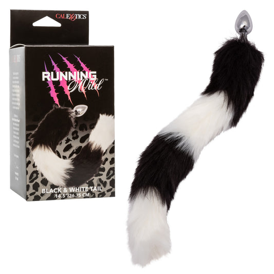 311886836.jpg