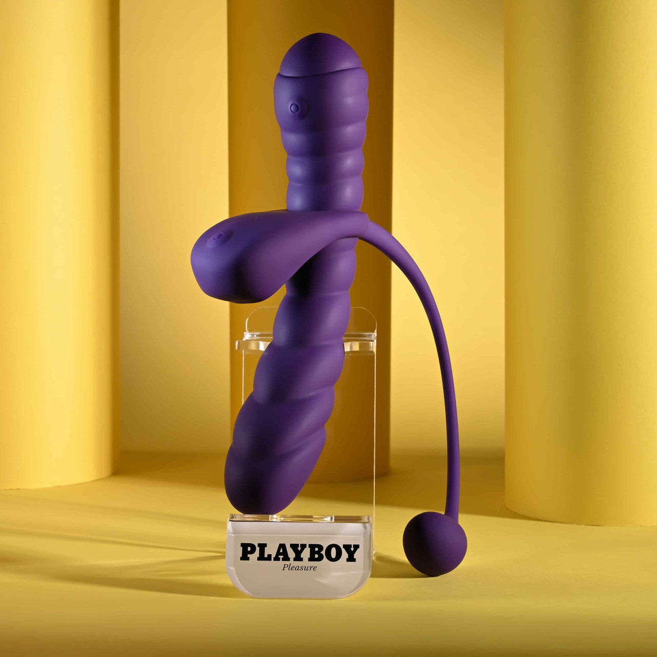 Playboy Twisted Playground