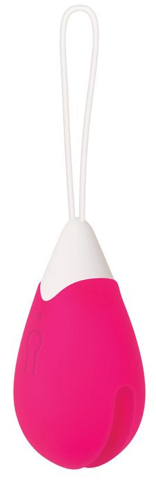 Evolved Egg Pink Vibrator W/ Remote Control