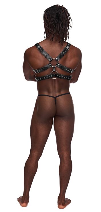 Gemini Leather Harness Black O/s