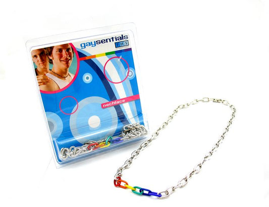 (wd) Rainbow & Silver Links Necklace 20 "