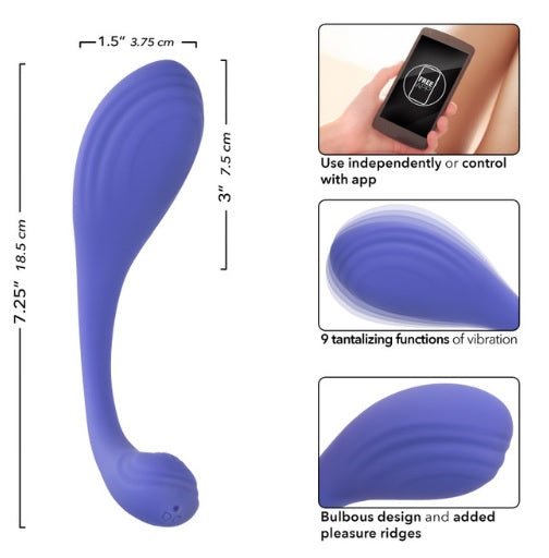 Connect Kegel Exerciser