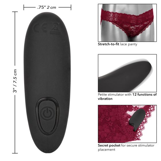 Remote Control Lace Panty Set Burgundy