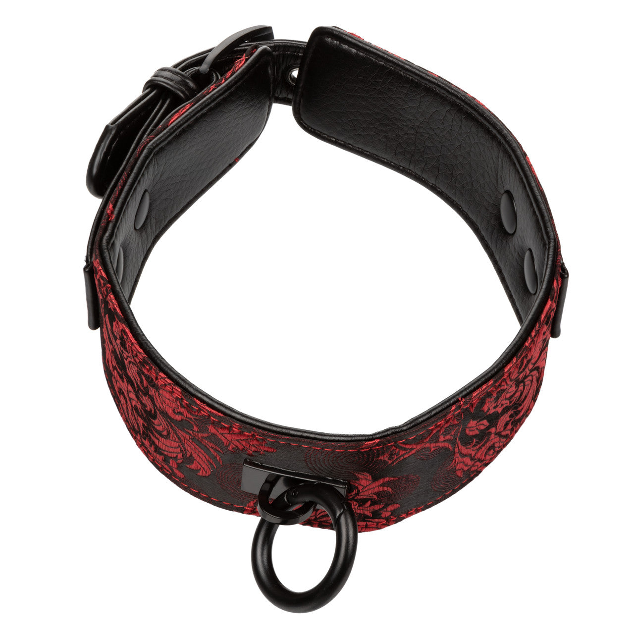 Scandal Collar With Leash